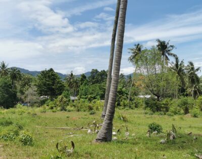 Mountain view land for sale – 2,545,000 THB