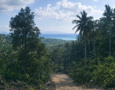Sea view land in Srithanu!