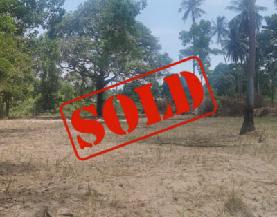 SOLD – Nice flat land 1 or 2 RAI