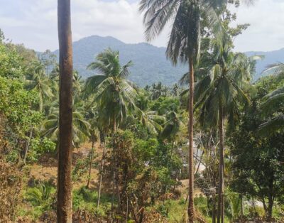 Mountain view plots – Bantai