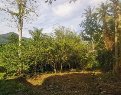 Beautiful flat 680 SqM plot next to a river