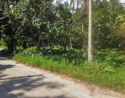 Two Flat Land Plots in a Central & Peaceful Location