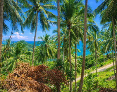 Stunning View Land in Thong Nai Pan – 7.5 million THB