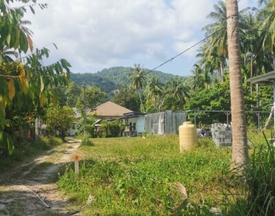 Ready to build – flat land in Coconut Lane 1.8 million THB