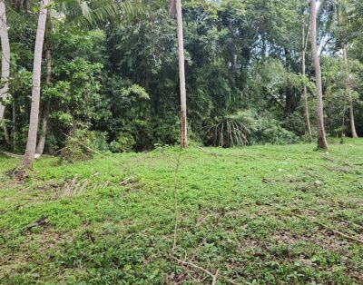 Exceptional Riverside Land Opportunity – Peaceful Setting with Prime Development Potential