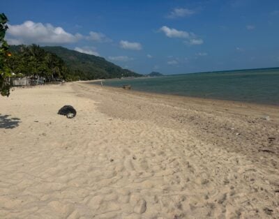 Beach front land (flat) – 40 million THB