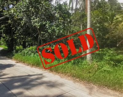 SOLD – Two Flat Land Plots in a Central & Peaceful Location